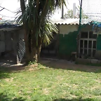 SAM_0427