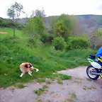 DSCN5101