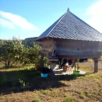 DSCN9088