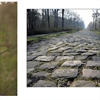 TROU?E D?ARENBERG