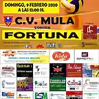 CVMULACVFORTUNA2020-1