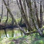 42-IMG_5279
