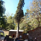 DSCN0301