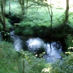P1010156