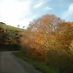 DSCN0554