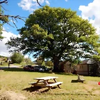 DSCN0826