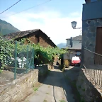 DSCN8973
