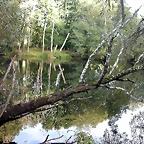 DSCN5308