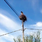 DSCN8764