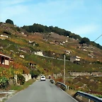 DSCN0642