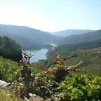 DSCN7596