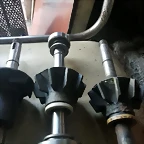 IMG-20191011-WA0009