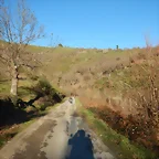 DSCN1733