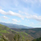 DSCN8847