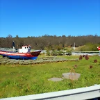 DSCN0072