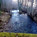 DSCN2565