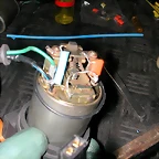 DSCN0065