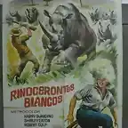 rinocerontesblancos