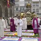 Canónigos Catedral Lugo