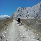 65