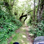 DSCN4341