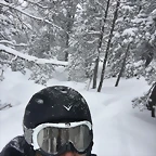 Hugo IG 8-2-2017