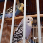 CIMG0050