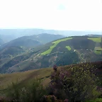 DSCN9036