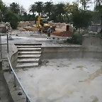 Zoo de Barcelona 29-11-2010 020