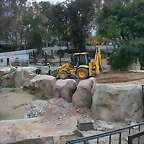Zoo de Barcelona 29-11-2010 055