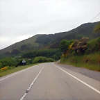 DSCN6548