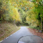 DSCN5943