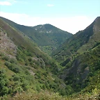 DSCN3226