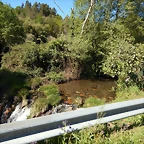 DSCN8955