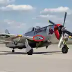 P47_Thunderbolt_Hun_Hunter