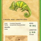 camaleon velado