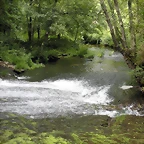 DSCN4160