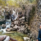 IMG_20210204_115024 copia
