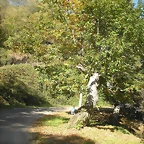 DSCN0071