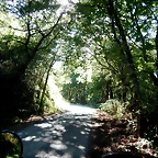 DSCN6747