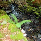 DSCN7656