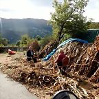 DSCN1931