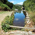 DSCN7715