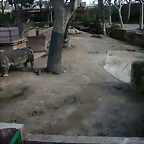 Zoo de Barcelona 17-03-11 253