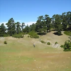P1010120