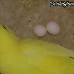 FB_IMG_1535389623579