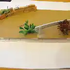 diorama fura (1)