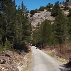 resized_Olocau solo 023