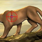 moni cougar 004