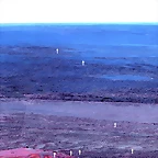 457441_207334616044285_1851322009_o